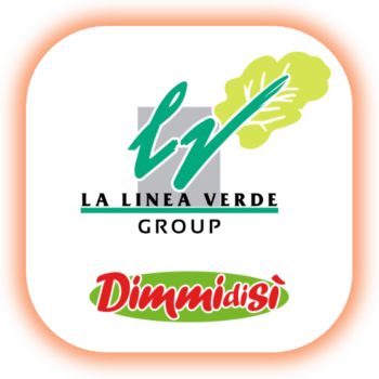 linea sajt